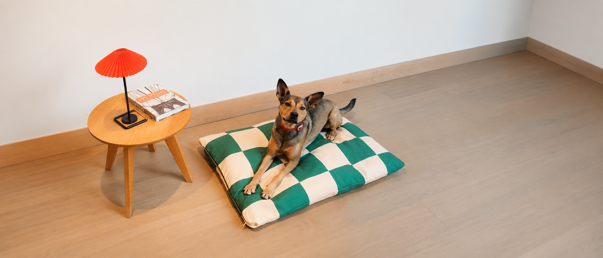 Thoughtful pet essentials for everyday routines