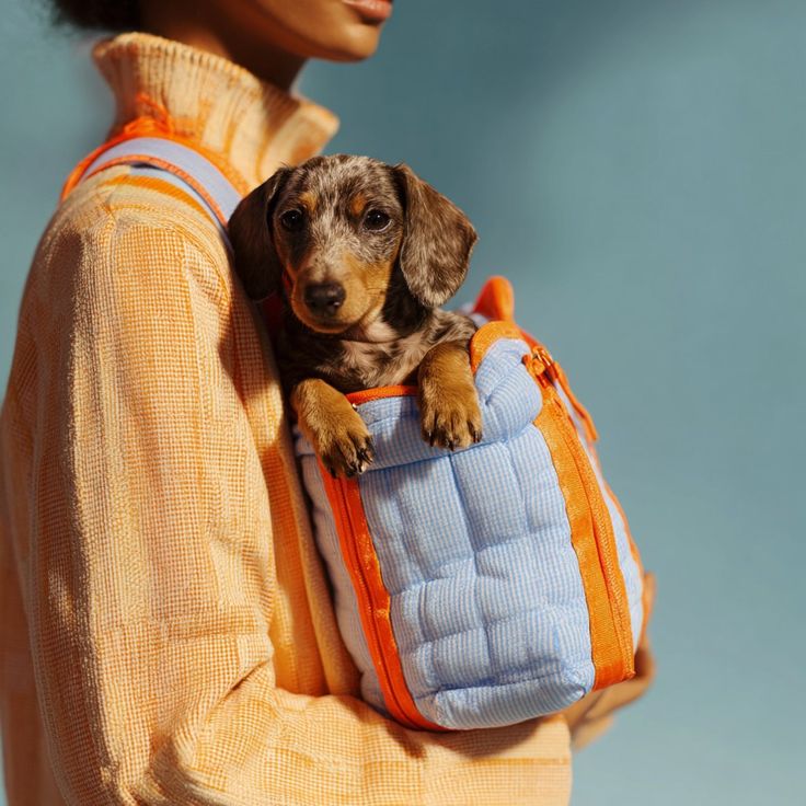 Pet Backpack